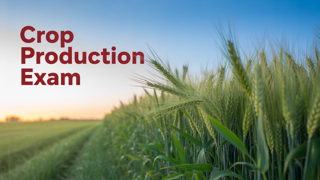 mp board 11th crop production half yearly paper 2025 mp board, mp board 11th fasal utpadan half yearly paper 2025, class 11th fasal utpadan half yearly paper 2025 mp board, class 11th crop production ardhvarshik paper 2025 mp board, class 11th agriculture half yearly paper 2025 mp board, fasal utpadan ardhvarshik paper 2025 class 11th mp board, crop production half yearly paper 2025 mp board class 11, half yearly crop production paper 11th class